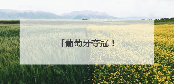 葡萄牙夺冠！C罗掩面痛哭