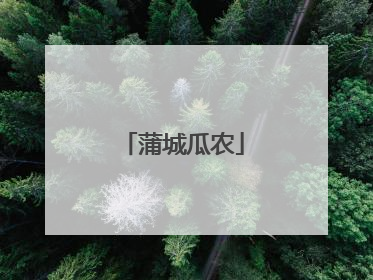 蒲城瓜农