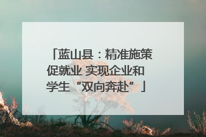 蓝山县：精准施策促就业 实现企业和学生“双向奔赴”