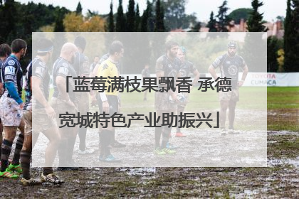 蓝莓满枝果飘香 承德宽城特色产业助振兴