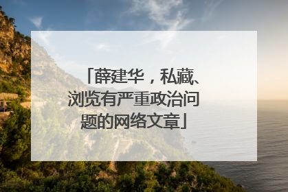 薛建华，私藏、浏览有严重政治问题的网络文章
