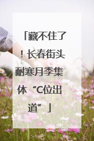 藏不住了！长春街头耐寒月季集体“C位出道”