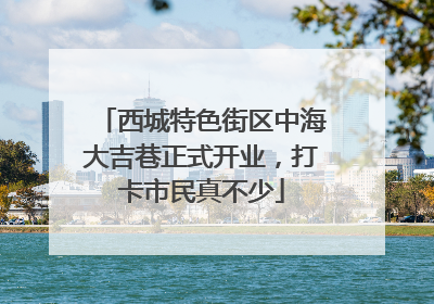 西城特色街区中海大吉巷正式开业，打卡市民真不少