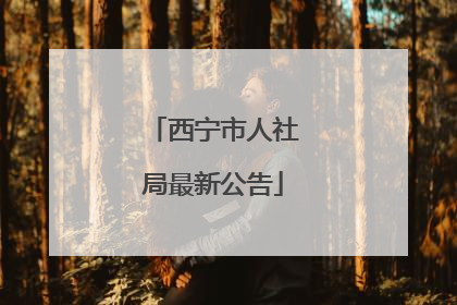 西宁市人社局最新公告