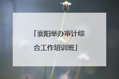 襄阳举办审计综合工作培训班