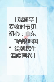 观澜亭｜麦收时节见初心：山东“晒粮地图”绘就民生温暖画卷