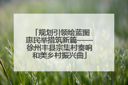规划引领绘蓝图 惠民举措筑新篇——徐州丰县宗集村奏响和美乡村振兴曲