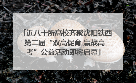近八十所高校齐聚沈阳铁西 第二届“双高促育 赢战高考”公益活动即将启幕
