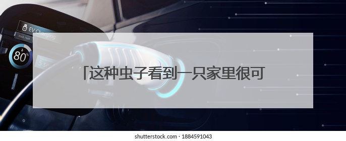 这种虫子看到一只家里很可能有一万只，除虫攻略→