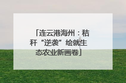 连云港海州：秸秆“逆袭”绘就生态农业新画卷