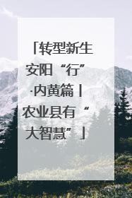 转型新生安阳“行”·内黄篇丨农业县有“大智慧”
