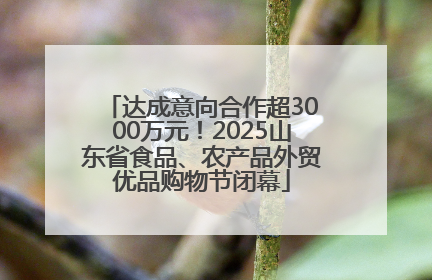 达成意向合作超3000万元！2025山东省食品、农产品外贸优品购物节闭幕