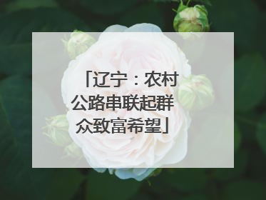 辽宁：农村公路串联起群众致富希望