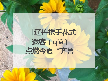 辽鲁携手花式邀客（qiě）点燃今夏“齐鲁风 辽海情”