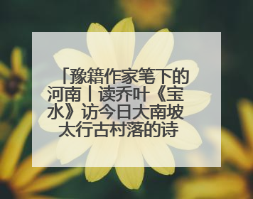 豫籍作家笔下的河南丨读乔叶《宝水》访今日大南坡 太行古村落的诗意重生