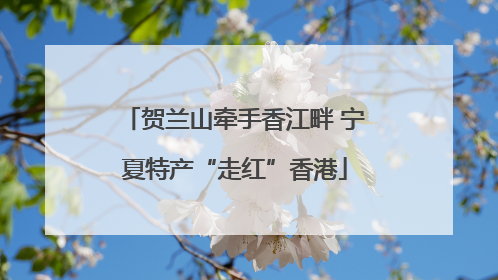 贺兰山牵手香江畔 宁夏特产“走红”香港