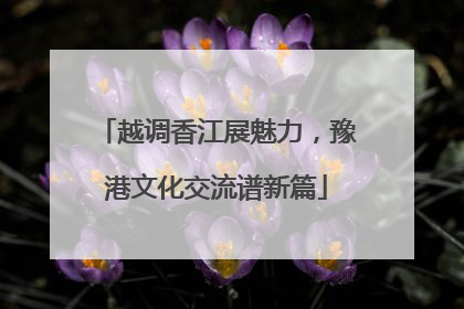 越调香江展魅力，豫港文化交流谱新篇