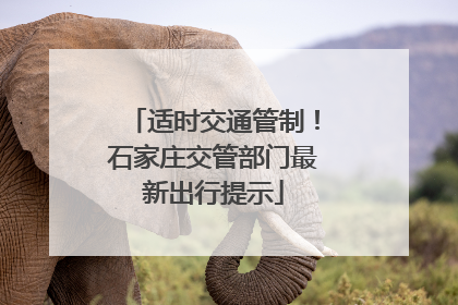适时交通管制！石家庄交管部门最新出行提示