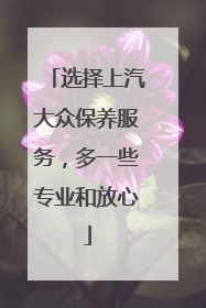 选择上汽大众保养服务，多一些专业和放心