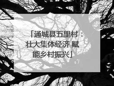 通城县五里村：壮大集体经济 赋能乡村振兴