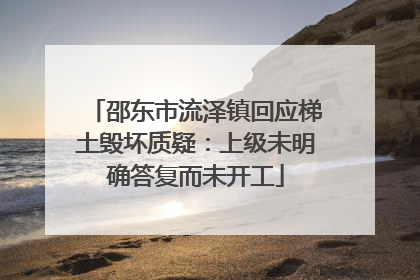 邵东市流泽镇回应梯土毁坏质疑：上级未明确答复而未开工