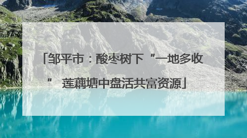 邹平市：酸枣树下“一地多收” 莲藕塘中盘活共富资源