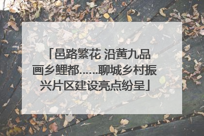 邑路繁花 沿黄九品 画乡鲤都……聊城乡村振兴片区建设亮点纷呈