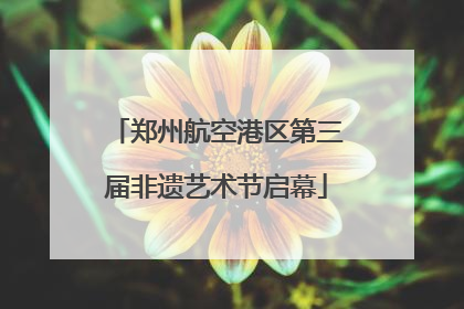 郑州航空港区第三届非遗艺术节启幕