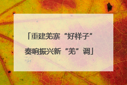 重建羌寨“好样子” 奏响振兴新“羌”调