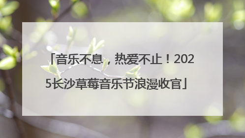 音乐不息，热爱不止！2025长沙草莓音乐节浪漫收官