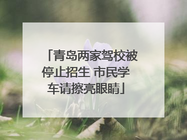 青岛两家驾校被停止招生 市民学车请擦亮眼睛