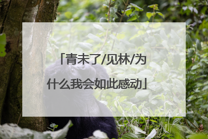 青未了/见林/为什么我会如此感动