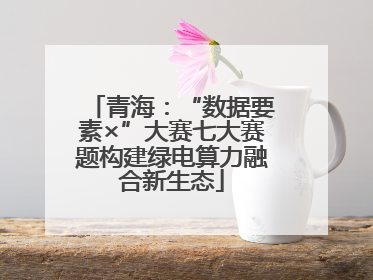 青海：“数据要素×”大赛七大赛题构建绿电算力融合新生态