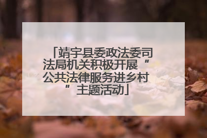 靖宇县委政法委司法局机关积极开展“公共法律服务进乡村”主题活动