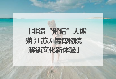 非遗“邂逅”大熊猫 江苏无锡博物院解锁文化新体验