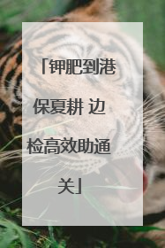 钾肥到港保夏耕 边检高效助通关