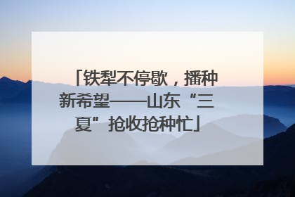 铁犁不停歇，播种新希望——山东“三夏”抢收抢种忙