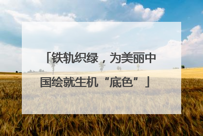 铁轨织绿，为美丽中国绘就生机“底色”