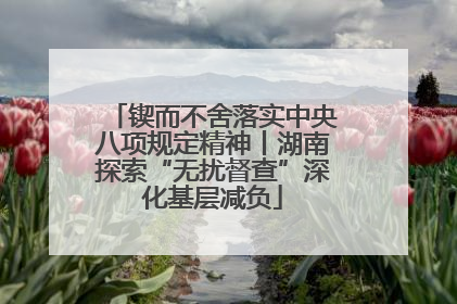锲而不舍落实中央八项规定精神丨湖南探索“无扰督查”深化基层减负