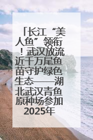 长江“美人鱼”领衔！武汉放流近千万尾鱼苗守护绿色生态——湖北武汉青鱼原种场参加2025年“全国放鱼日”增殖放流活动