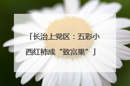长治上党区：五彩小西红柿成“致富果”