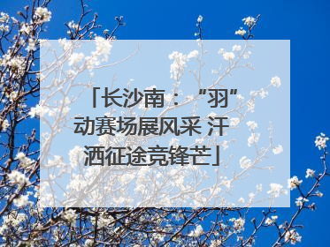 长沙南：“羽”动赛场展风采 汗洒征途竞锋芒