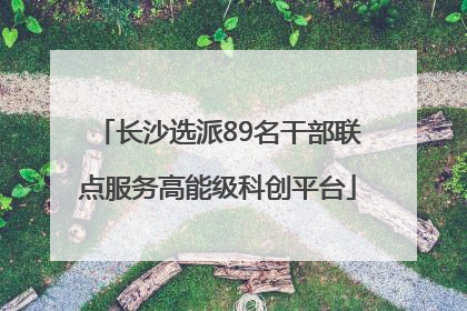长沙选派89名干部联点服务高能级科创平台