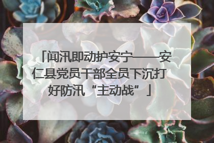 闻汛即动护安宁——安仁县党员干部全员下沉打好防汛“主动战”