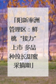 阳新率洲管理区：鲜桃“接力”上市 多品种拉长甜蜜采摘期