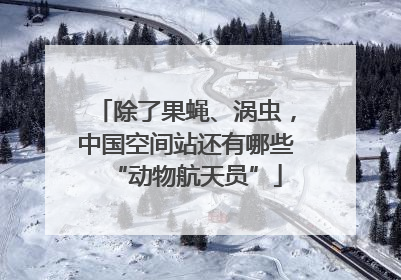 除了果蝇、涡虫，中国空间站还有哪些“动物航天员”