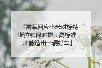 雷军回应小米对标特斯拉和保时捷：高标准才能造出一辆好车