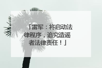 雷军：将启动法律程序，追究造谣者法律责任！