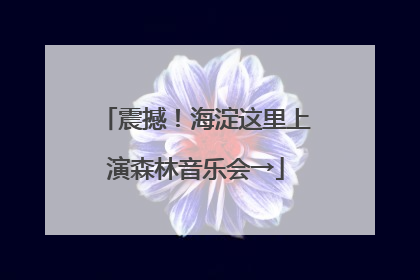 震撼！海淀这里上演森林音乐会→
