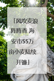 风吹麦浪阵阵香 海安市55万亩小麦陆续开镰